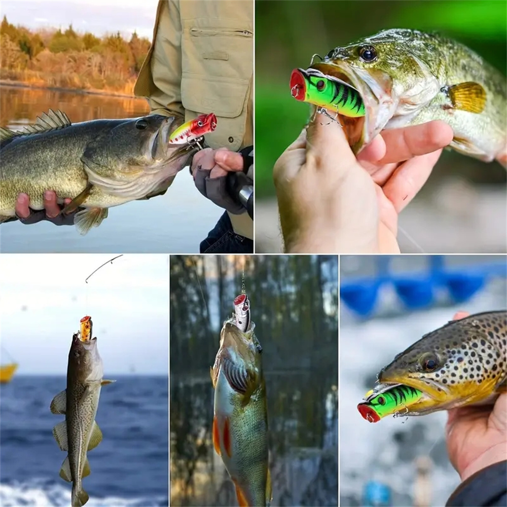 5 Stücke Popper Angelköder 3d  – Fishing Lure Topwater Bewertung und Preis