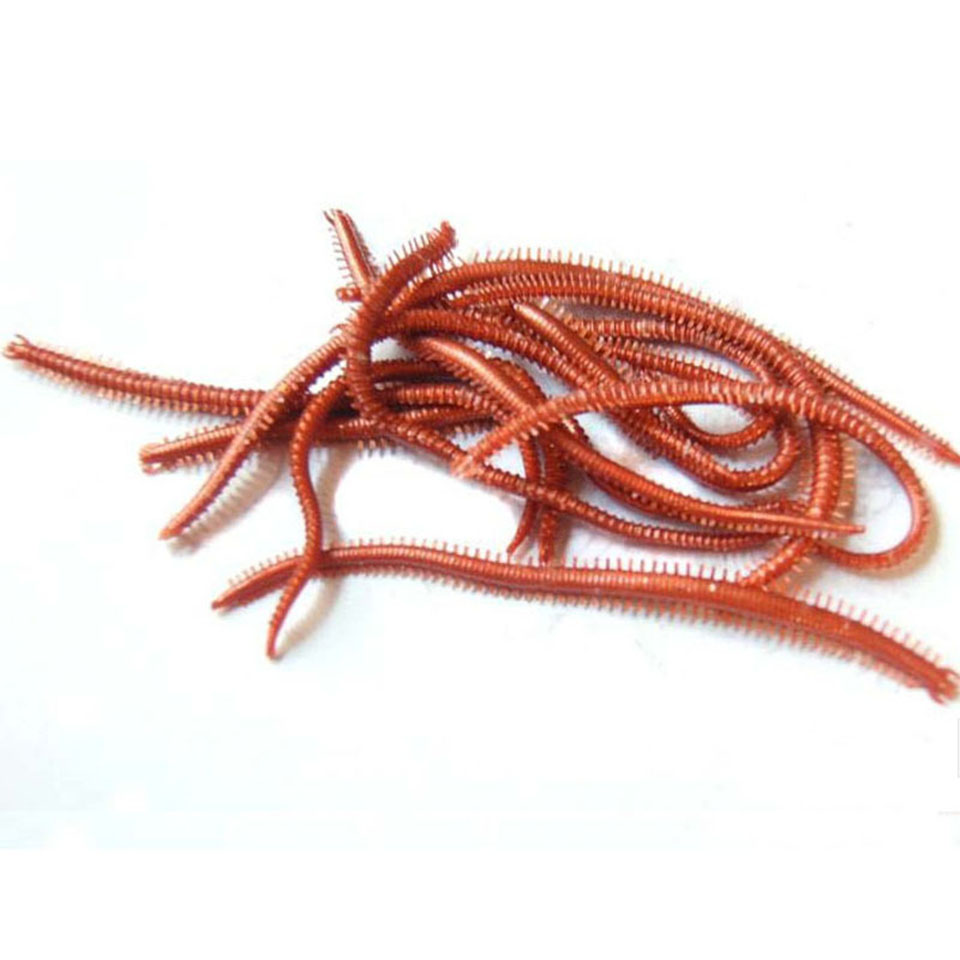 10 Teile/los Künstliche Meer W – Fishing Lure Soft Plastic Bewertung und Preis