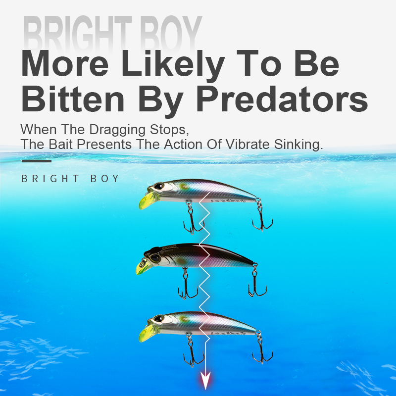 Kingdom Sinking Minnow Angelkö – Fishing Lure Crankbait Bewertung und Preis